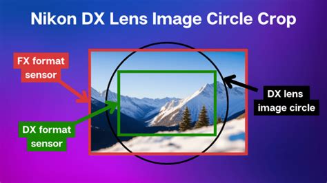 FX vs DX lenses – 8 Top Differences Between FX and DX lenses.